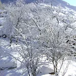 Alpina * Alpbach