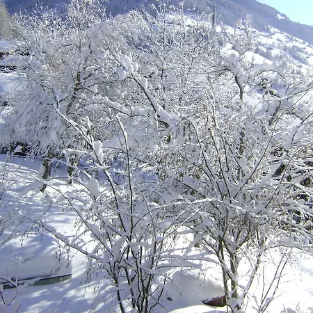 Alpina * Alpbach