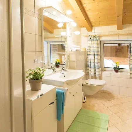Apartment Alpina