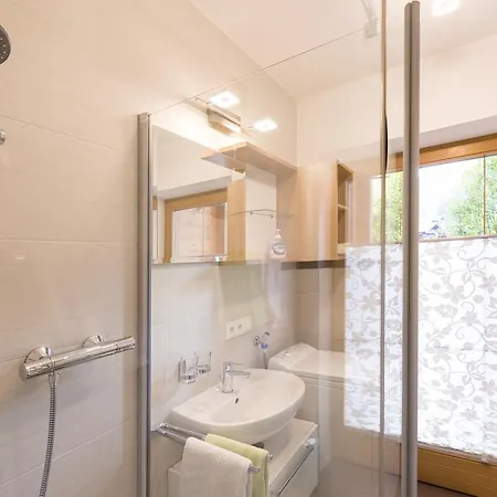 Apartment Alpina
