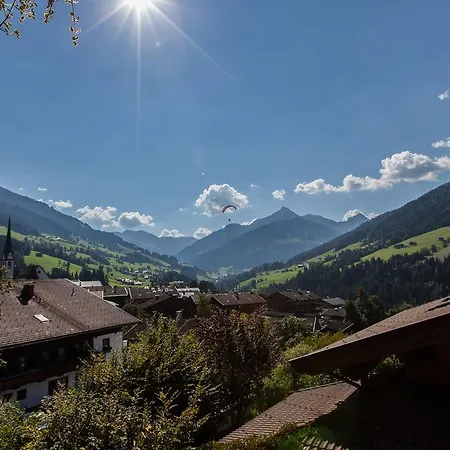 Apartment Alpina Alpbach